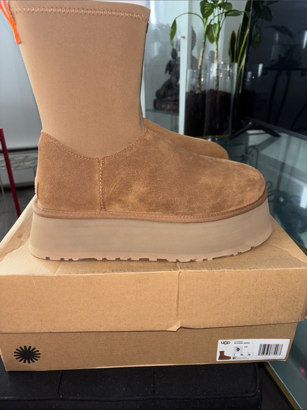 Ugg - Picture 15 of 16